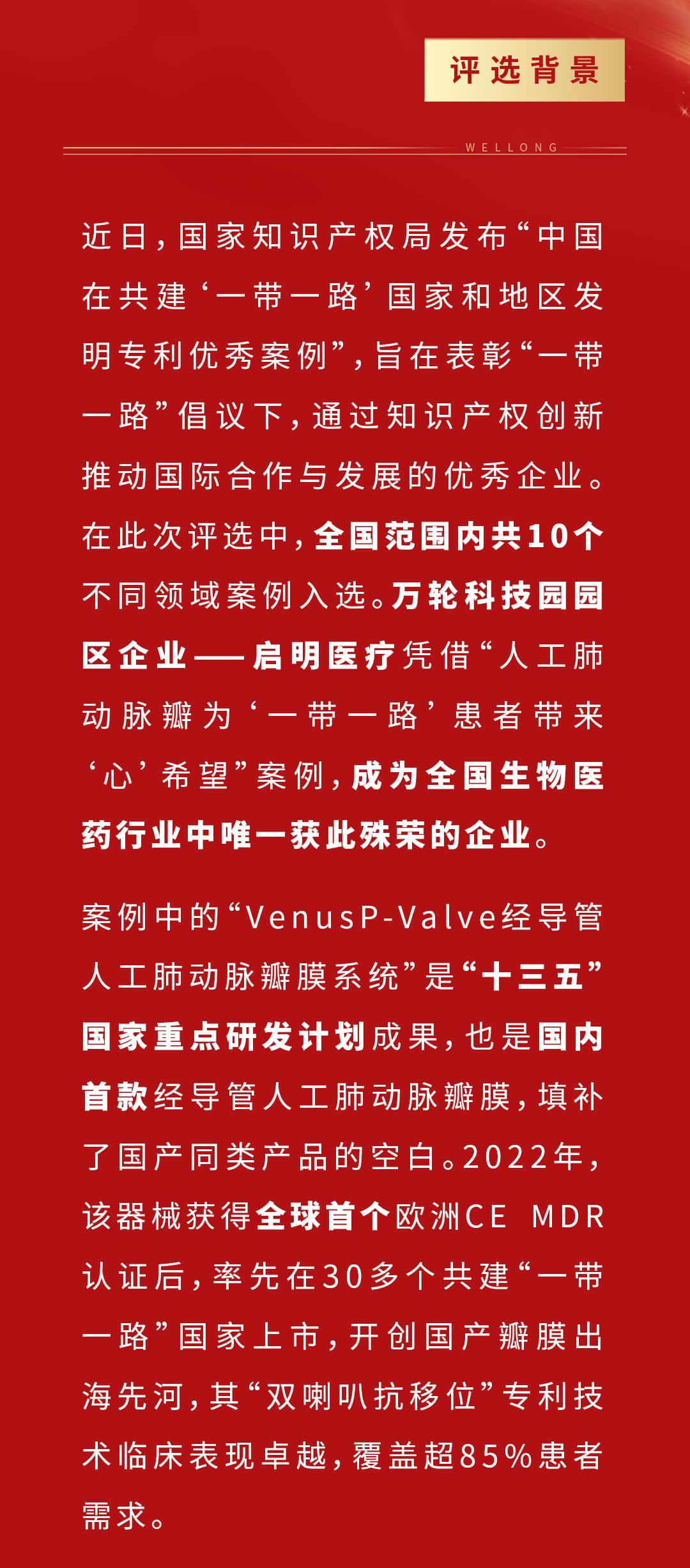 专利优秀案例项目_02.jpg